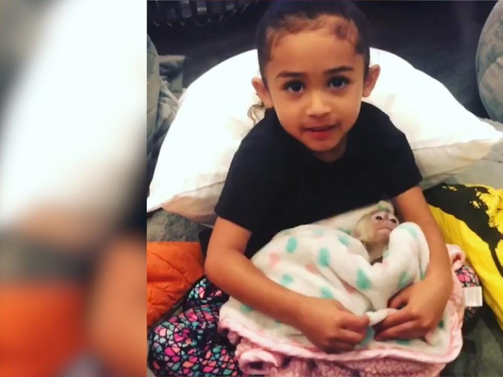 Chria Brown drew criticism after posting a video of his daughter, Royalty, then just three, with the monkey in 2017. Picture: Supplied