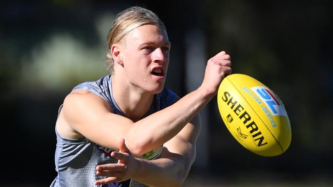 Will Hayden Young be a top-eight defender in KFC SuperCoach? Picture: Darren England