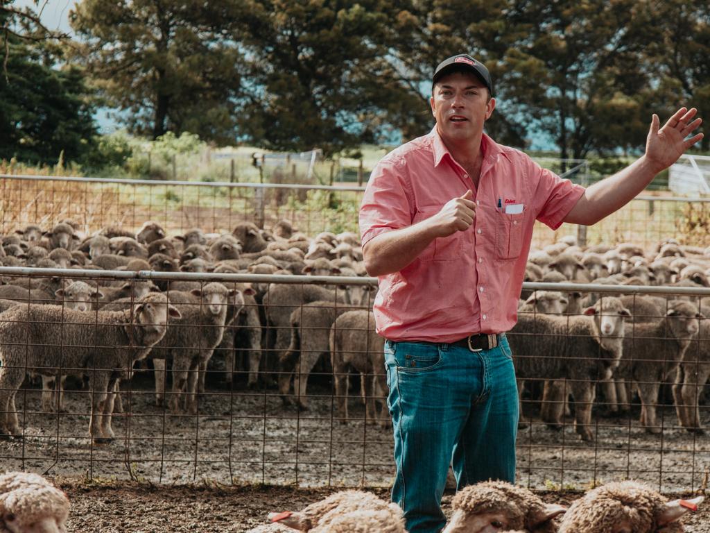 Mick Noble on the job with a flock of sheep.