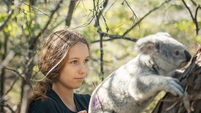 Izzy Bee at Magnetic Island Koala Hospital