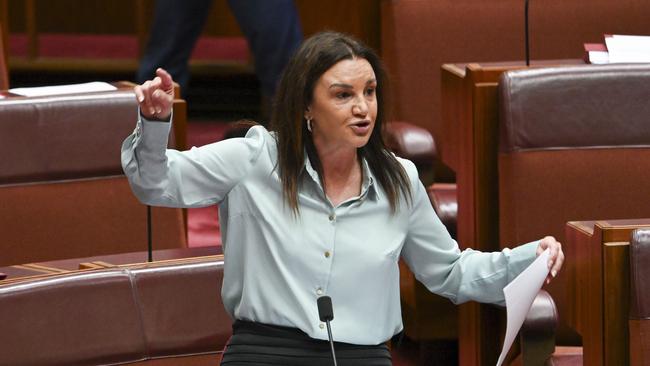 CANBERRA, AUSTRALIA  - NewsWire Photos - November 28, 2024: Senator Jacqui Lambie in the Senate at Parliament House in Canberra. Picture: NewsWire / Martin Ollman