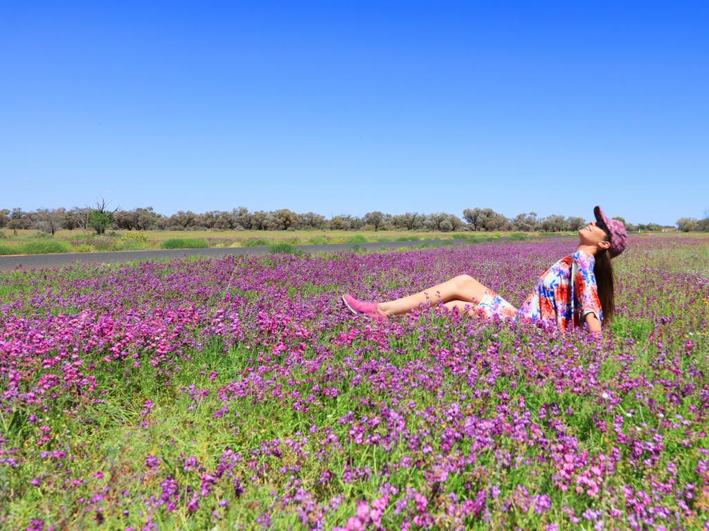 Nicoline Demisch near Thargomindah among the flowers and colour of the QLD Outback.