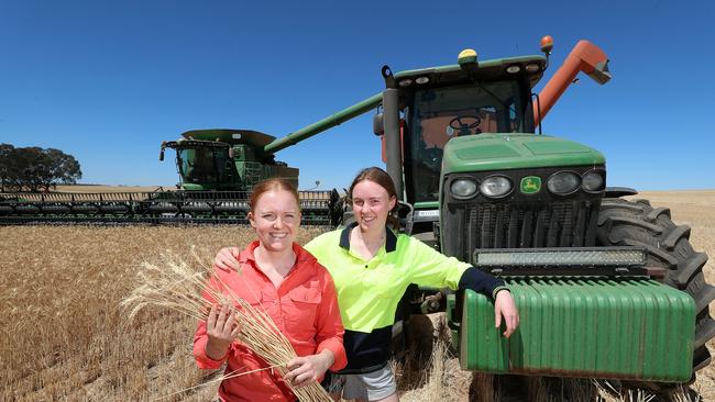 Abbey Latta (left) and sister Georgia Latta helped the Latta family to harvest a handy CL Plus Wheat crop. Picture: Yuri Kouzmin