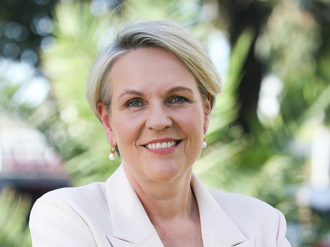 SYDNEY, AUSTRALIA : NewsWire Photos- AUGUST 28 2024; Tanya Plibersek MP Ã Minister for the Environment and Water is seen arriving at the Newscorp Publishing Site in Sydney, ahead of a tour through the facility, recognising News Publishing media industry for recycling leadership.  Picture: NewsWire / Gaye Gerard