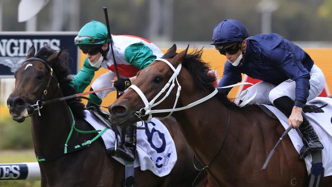 Profondo (left) takes on Head Of State again in the Spring Champion Stakes after finishing second in the Gloaming Stakes. Picture: Getty Images