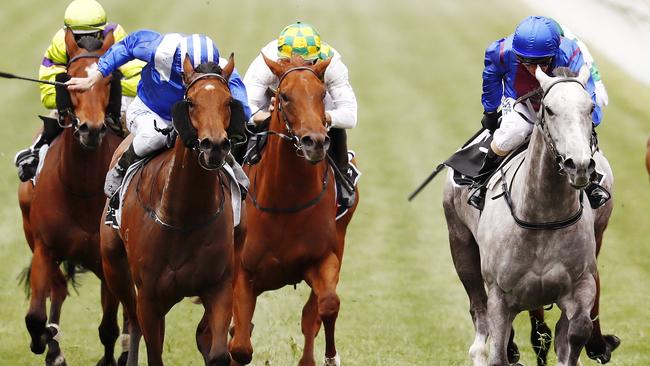 The 2017 Melbourne Cup at Flemington racecourse. Picture: Michael Klein