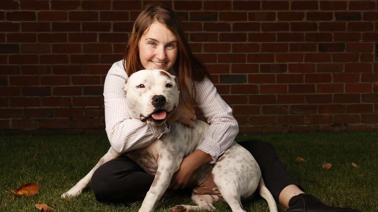 Grace Hills with her dog Max the three year old Staffy that survived a snake bite resulting in a vet bill worth $25,000 of treatment. Picture: Nikki Davis-Jones