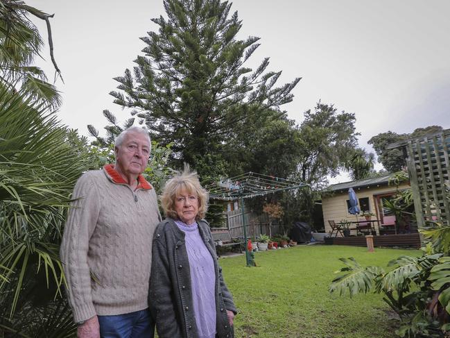 Brian and Carmel Russell in front of the tree planted in memory of daughter Natalie. Picture: Wayne Taylor