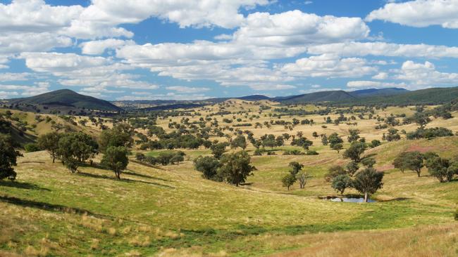 Checkers comprises heavy red clay loam and black basalt soils with a native and introduced pasture species and lightly scattered Box and Kurrajong timber.