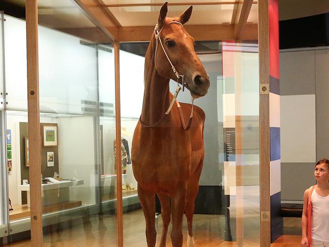 Did American mobsters kill Phar Lap? Picture: Ian Currie