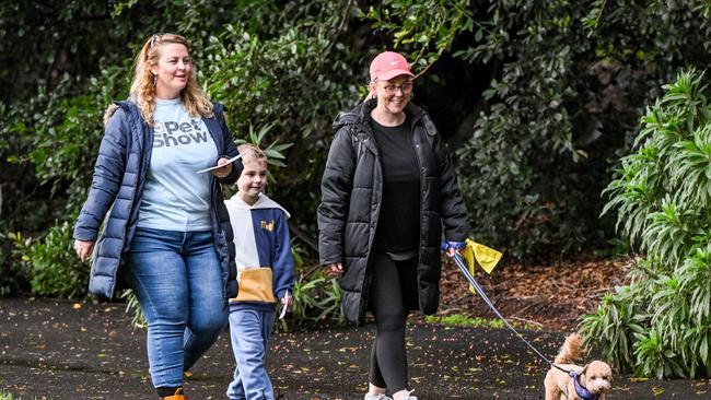 Million Paws Walk at Adelaide Botanic Gardens. Picture: Brenton Edwards