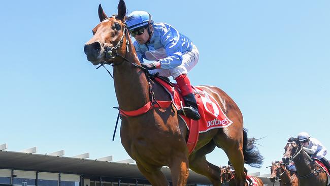 Group 2 winner Serasana will relish a class drop and returning to Caulfield on Saturday. Picture: Racing Photos via Getty Images