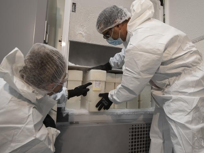 Operatives load vaccines into the freezers at multinational specialty <br/>bio­technology company CSL’s Broadmeadow plant.