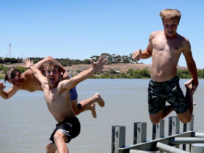 Hot Weather at Murray Bridge - Tyson Naismith, 16, Ollie Bartlett,16, 0491747900, and Cooper Wilson,16, keeping cool in the river. 31 January 2025. Picture: Dean Martin