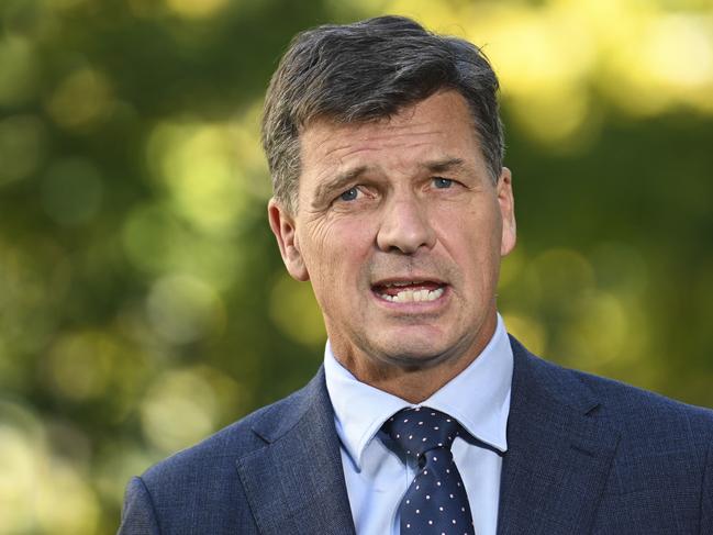 Opposition Treasury spokesman Angus Taylor has intensified his attack on the Albanese government. Picture: NCA NewsWire / Martin Ollman