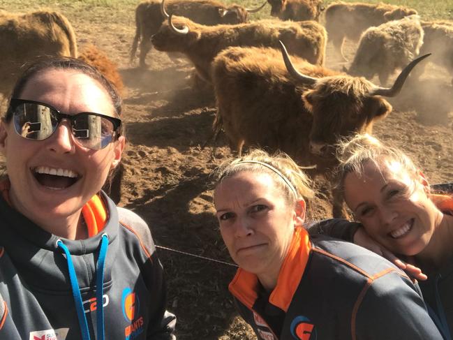 Giants players Sam Poolman, Jo Harten and Kim Green with a miniaturecow which is a retirement gift for Susan Pettitt.