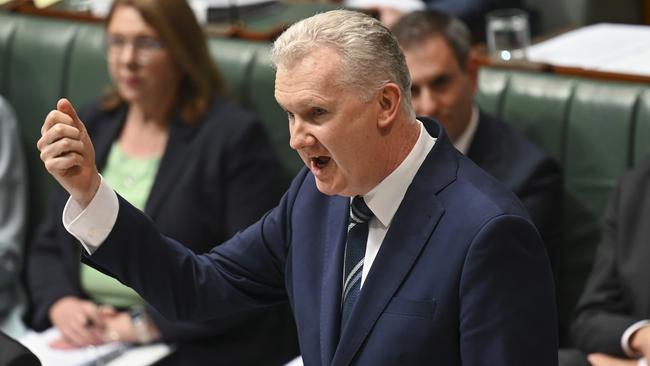 Leader of the House and Minister for Employment and Workplace Relations Tony Burke during Question Time at Parliament House in Canberra this week. Picture: NCA NewsWire / Martin Ollman