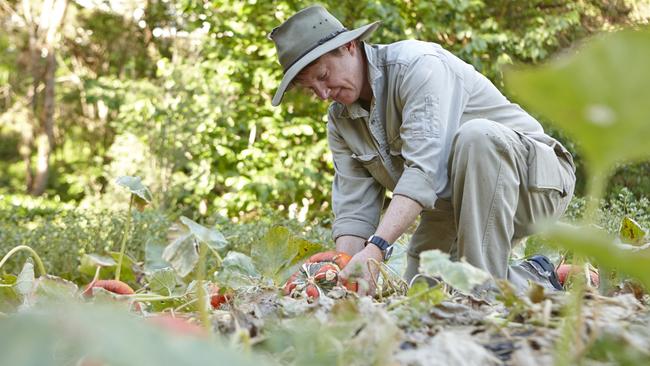 HOME GARDEN garden recovery. Anita Rayner working in Vaucluse House kitchen garden before the recent hail storms