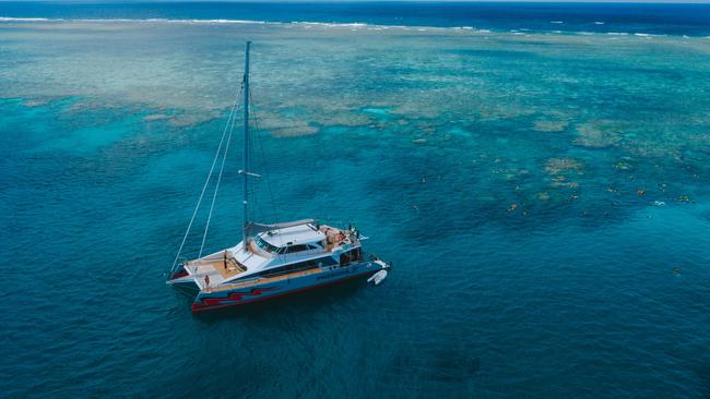 Passions of Paradise is one of the cruise companies involved with the Coralclip program. Picture: Tourism and Events Queensland