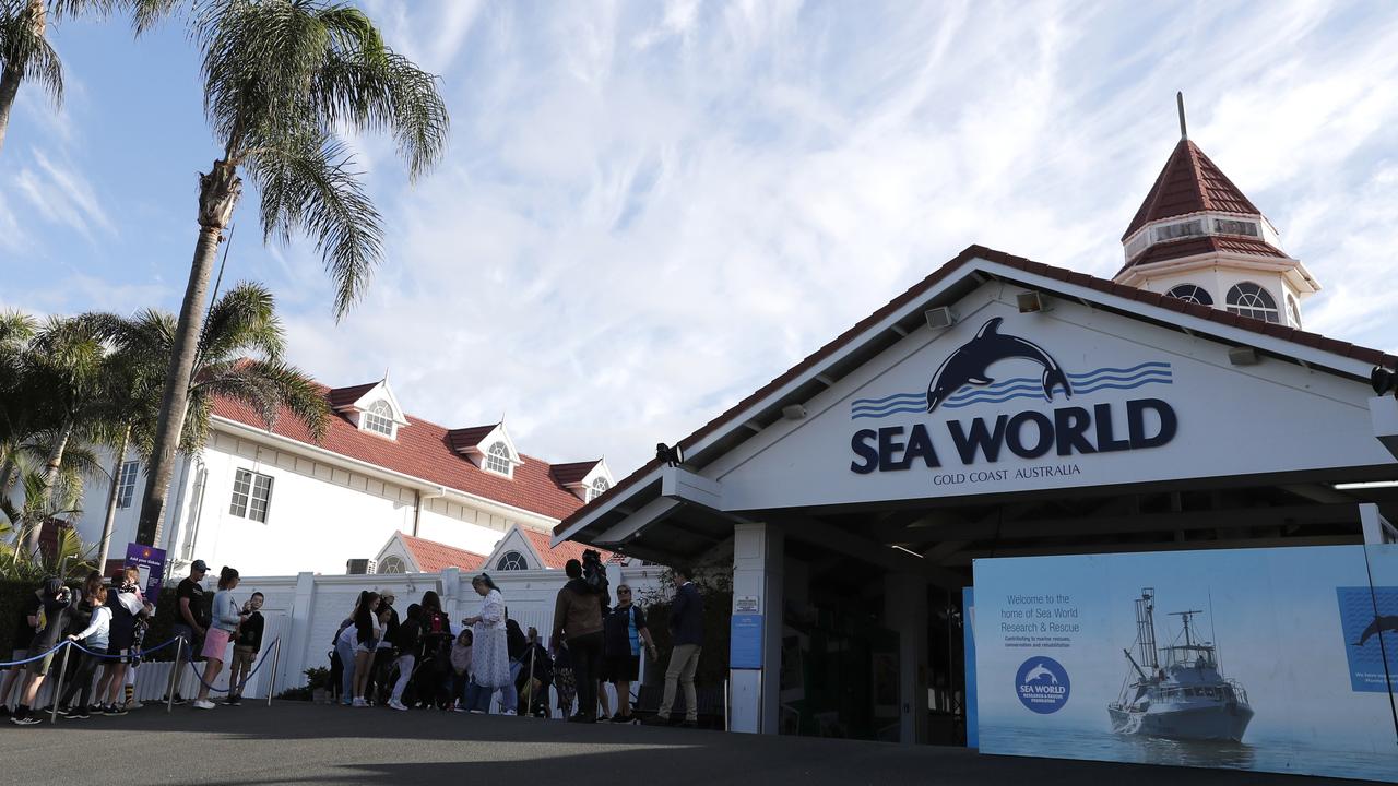 The main entrance to Sea World, Main Beach. (AAP Image/Regi Varghese)