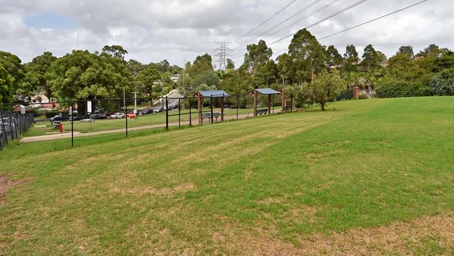 The area that could become a small dog off-leash area next to Greenway Dog Park. Picture: Troy Snook