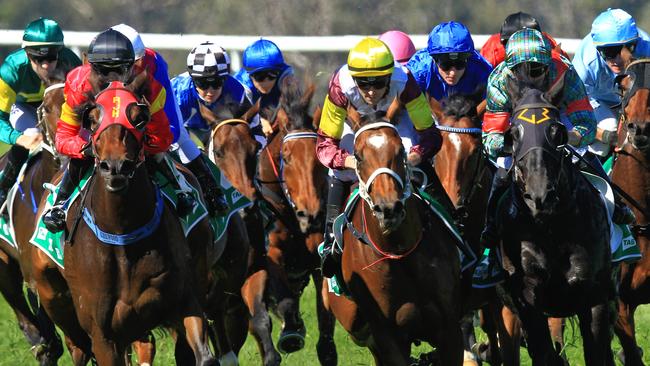 Racing in New South Wales on Tuesday is at Wellington and Scone.