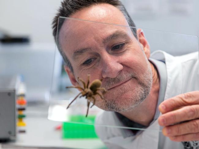 Professor Glenn King from the University of Queensland is leading the national research project. Picture: Supplied