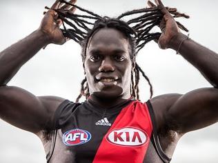 Essendon Family Day and Training