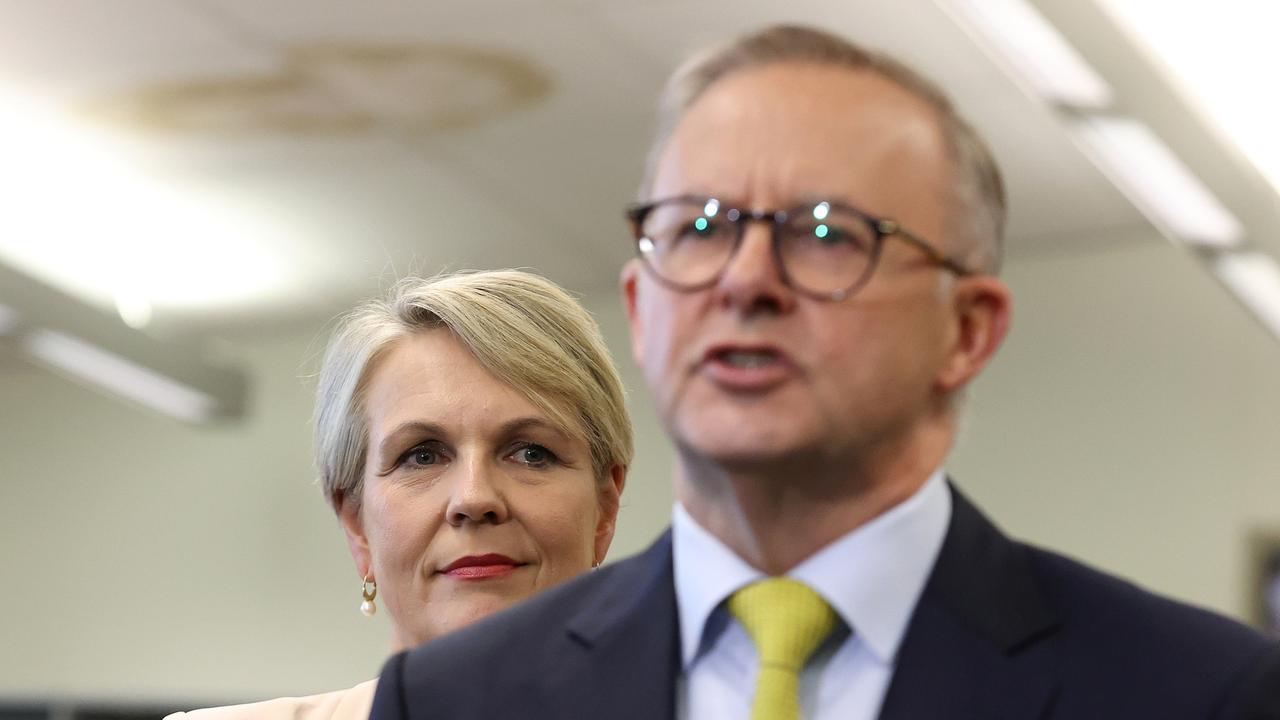 Tanya Plibersek has dismissed questions about her future leadership ambitions. Picture: Liam Kidston