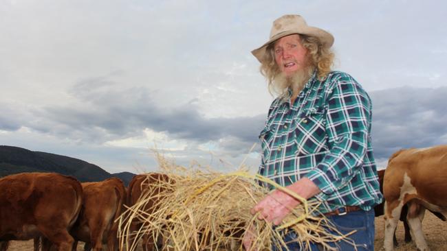 "Wild" Bill Ellis is a farmer from Mt Colliery (Southern Downs) feeding his limousin cattle hay during a drought with cloudy skies above holding promise of rain.