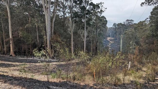 Bushland has been left devastated in Barraga Bay, south of Bermagui. Picture: Tom McGann.