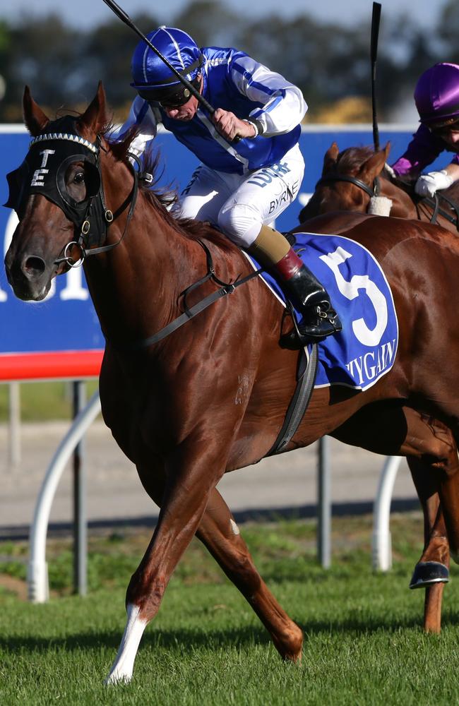 Siegfried, ridden by Jim Byrne, salutes at the Gold Coast in March. Picture: Darren England