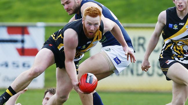 Will Campbell faces an extended period on the sidelines after dislocating his knee after falling off a rock. Picture: MATT THOMPSON