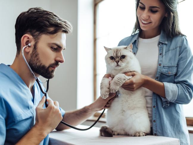 While many pet owners plan for expenses, unexpected vet visits can really blow the budget. Picture: iStock