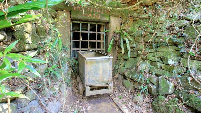 Some say ghosts can be heard calling out form tunnels and tracks within Copeland Tops State Conservation Area. Picture: Brent Hall.