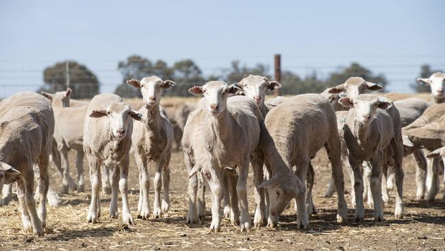 Australian farmers confidence levels plunged in the last three months, according to a Rabobank survey.