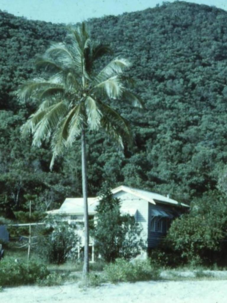 The Busuttin Home on Brampton Island. Picture: William Fair Collection