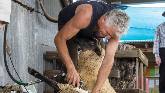 Sheep shearing at the Luddenham Show. Picture: AAP/Matthew Vasilescu