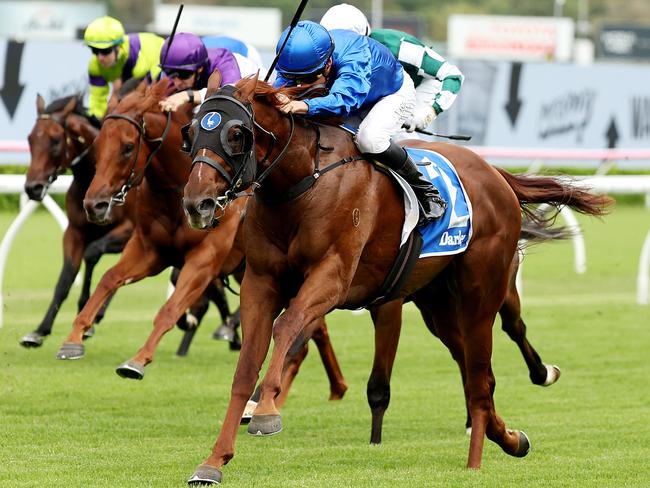 SYDNEY, AUSTRALIA - MARCH 08: Nash Rawiller riding Tentyris win Race 4 Darley Todman Stakes during Sydney Racing at Royal Randwick Racecourse on March 08, 2025 in Sydney, Australia. (Photo by Jeremy Ng/Getty Images)