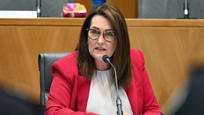 NSW Labor Senator Deborah O'Neill strongly denied the government was considering introducing an inheritance tax. Picture: NCA NewsWire / Martin Ollman