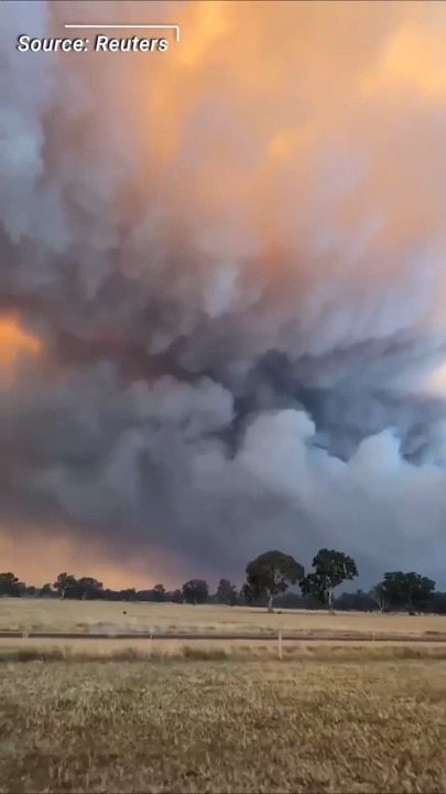 'Catastrophic Fire Danger' Forecast for Boxing Day as bushfires rage across Victoria