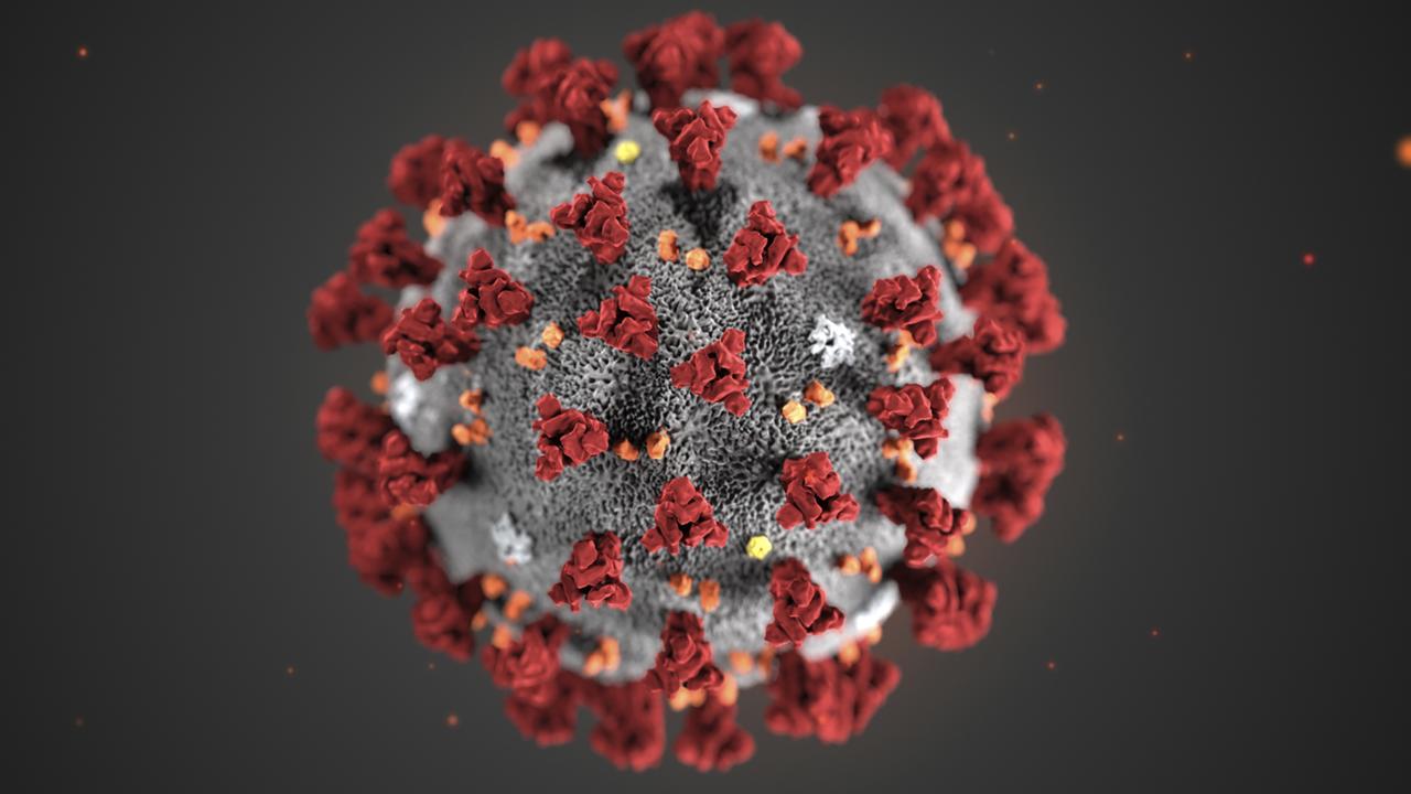 Coronavirus: World Health Organisation says virus could infect