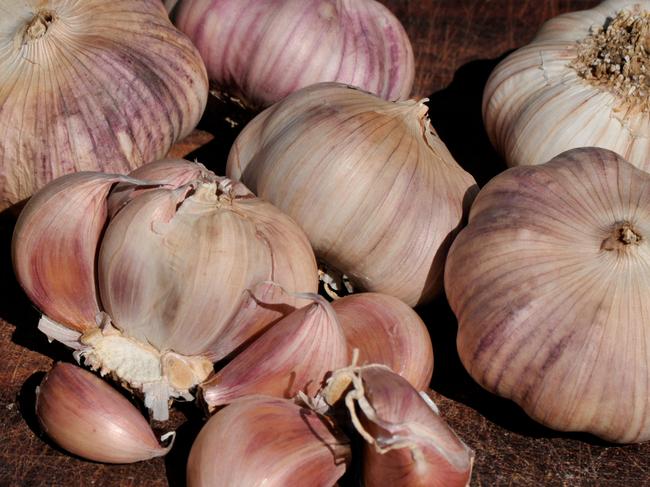 Peter Cundall gardening column Sunday Easy September 14... Garlic cloves are sprouting now. (tip of the week)