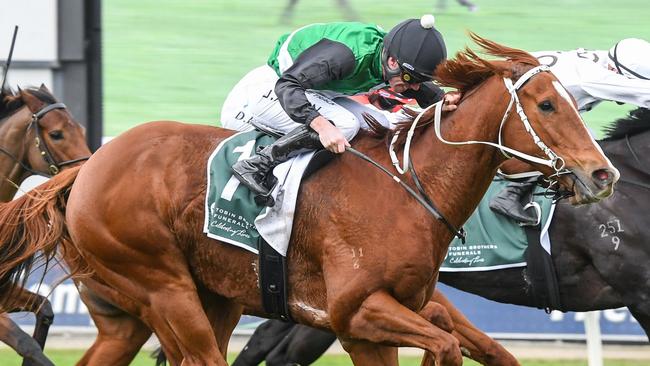 Pintoff ridden by John Allen wins the Tobin Brothers Bel Esprit Stakes  at Ladbrokes Park Hillside Racecourse on May 27, 2023 in Springvale, Australia. (Photo by Brett Holburt/Racing Photos via Getty Images)