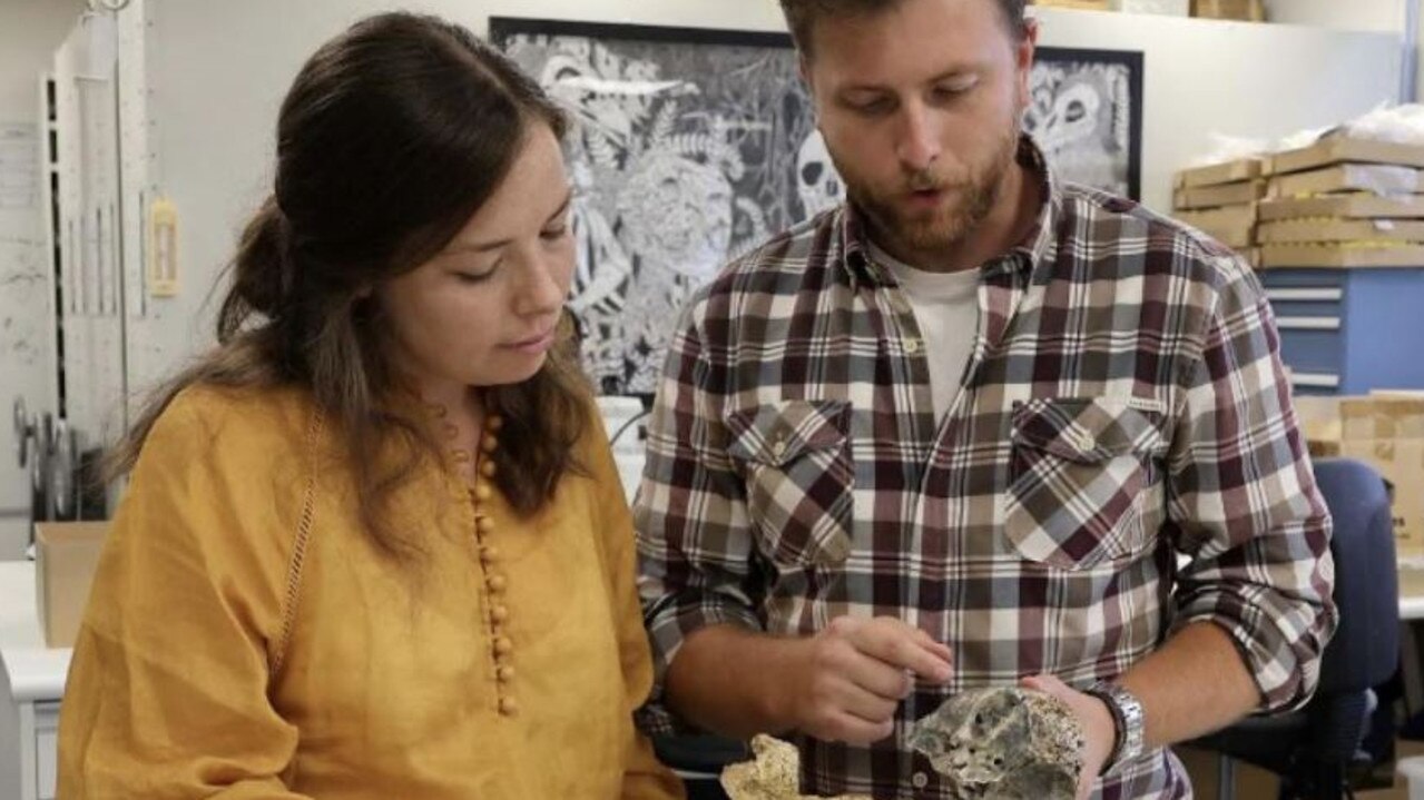 Flinders University palaeontologists Phoebe McInerney and Jacob Blokland with the discovered fossils. Picture: Flinders University