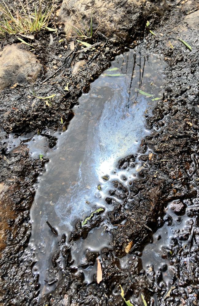 Oil on the shore of Lake Rosebery. Picture: Supplied