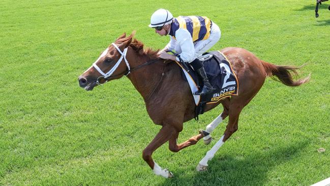 Deakin (FR) ridden by Daniel Stackhouse wins the Bunyip Equipment Handicap at Sportsbet Pakenham on December 21, 2024 in Pakenham, Australia. (Photo by George Sal/Racing Photos via Getty Images)