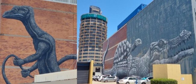 Some of the murals located on buildings around the Townsville CBD. Picture: Leighton Smith