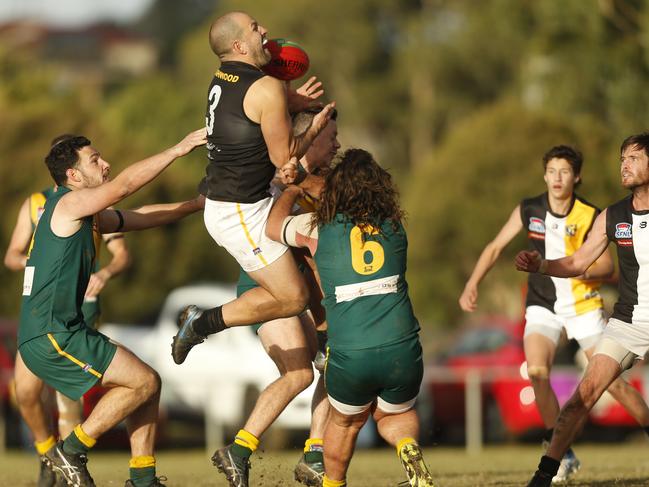 Ace forward Jack Purcell marks for Ashwood. Picture: Valeriu Campan