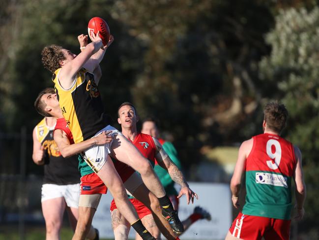 Melbourne Australia 15th July 2017Peninsula FL: Pines v Frankston YCWPD823591Frankston YCW number 38 Josh Butland fly's for the ball.Picture: Stuart Milligan